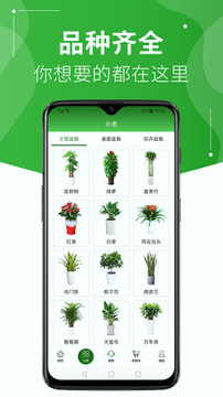 绿植到家截图1