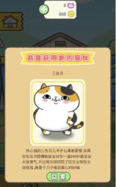 猫别野截图3