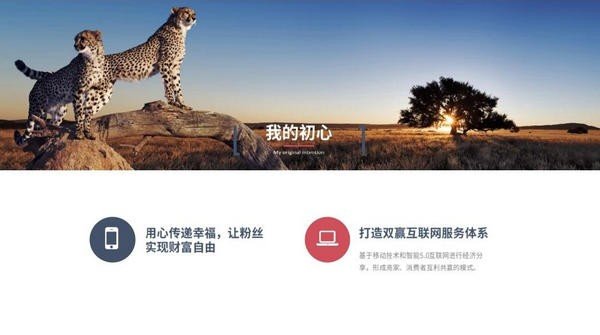 亿企拼截图3