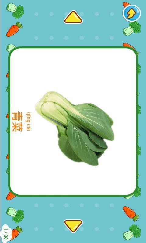 儿童蔬菜世界截图1