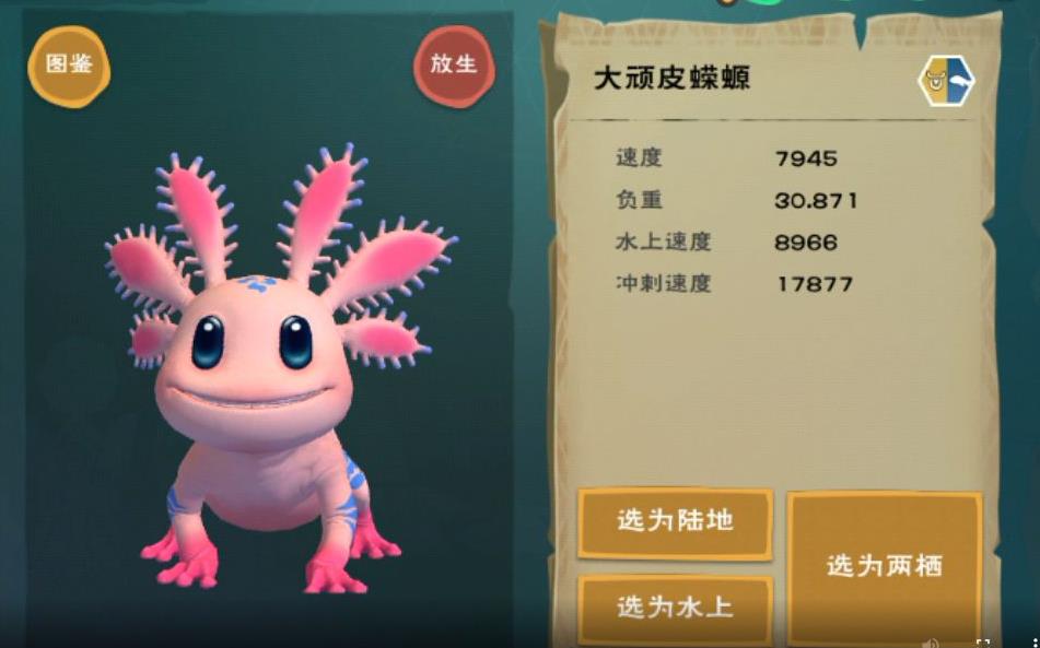 创造与魔法蝾螈怎么抓
