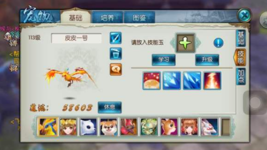 诛仙手游青云稀有鸟技能如何搭配