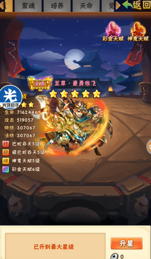 少年三国志张飞适合什么阵容