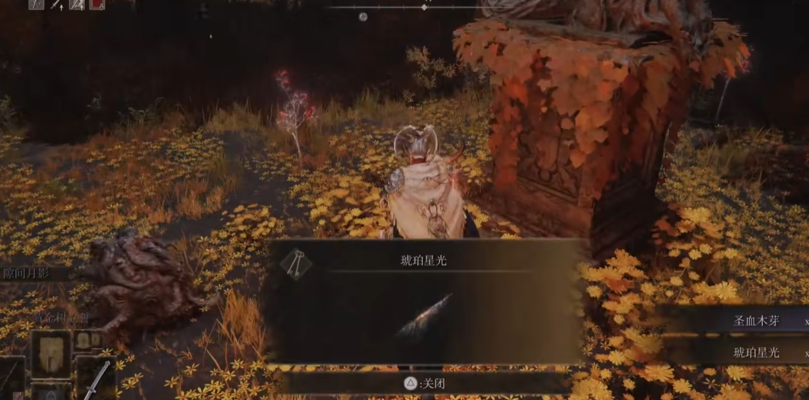 艾尔登法环老旧地图有什么用