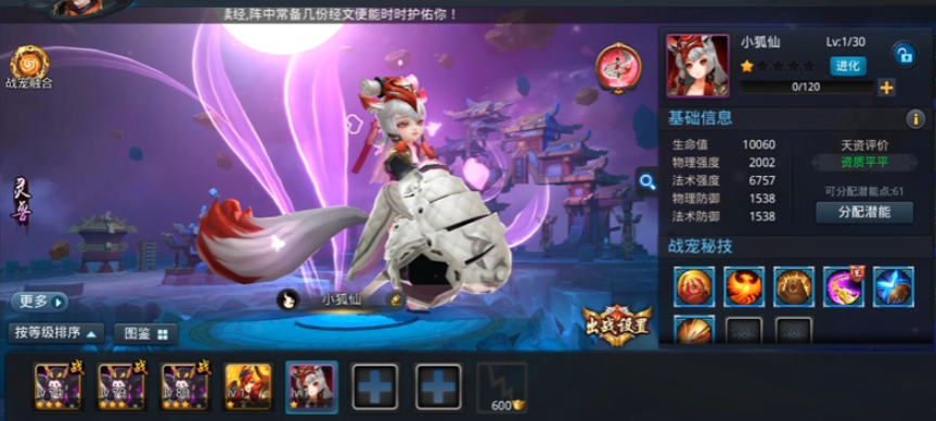 乱斗西游宠物怎么加点