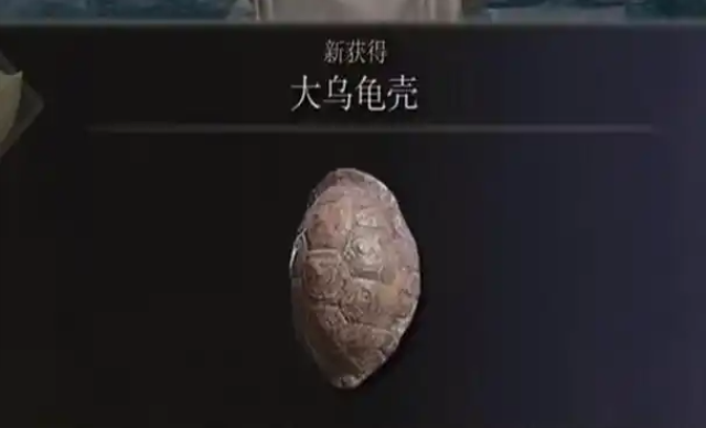 艾尔登法环武士左手拿什么
