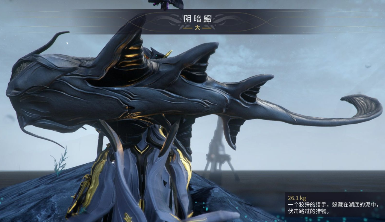 星际战甲稀有鱼在哪里刷