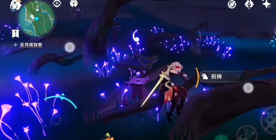 原神稻妻井底探索怎么进去