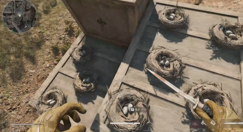 三角洲行动鸟窝在哪