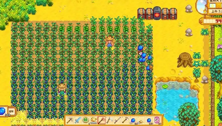 星露谷物语第二年夏天种什么