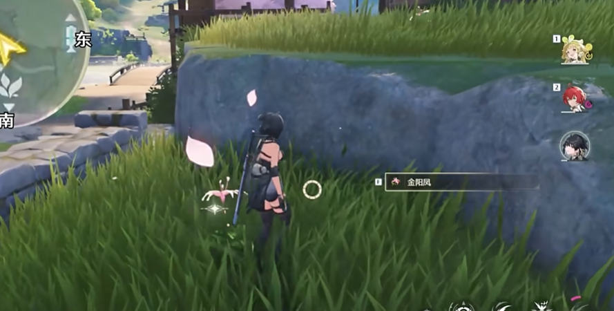 鸣潮金阳凤怎么获得